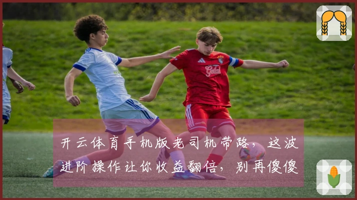 开云体育手机版老司机带路，这波进阶操作让你收益翻倍，别再傻傻地玩了