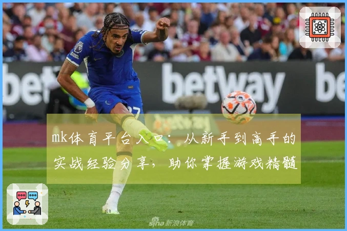 mk体育平台入口：从新手到高手的实战经验分享，助你掌握游戏精髓