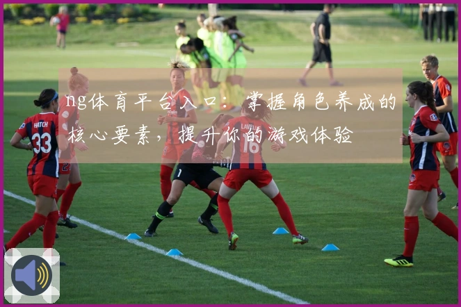 ng体育平台入口：掌握角色养成的核心要素，提升你的游戏体验